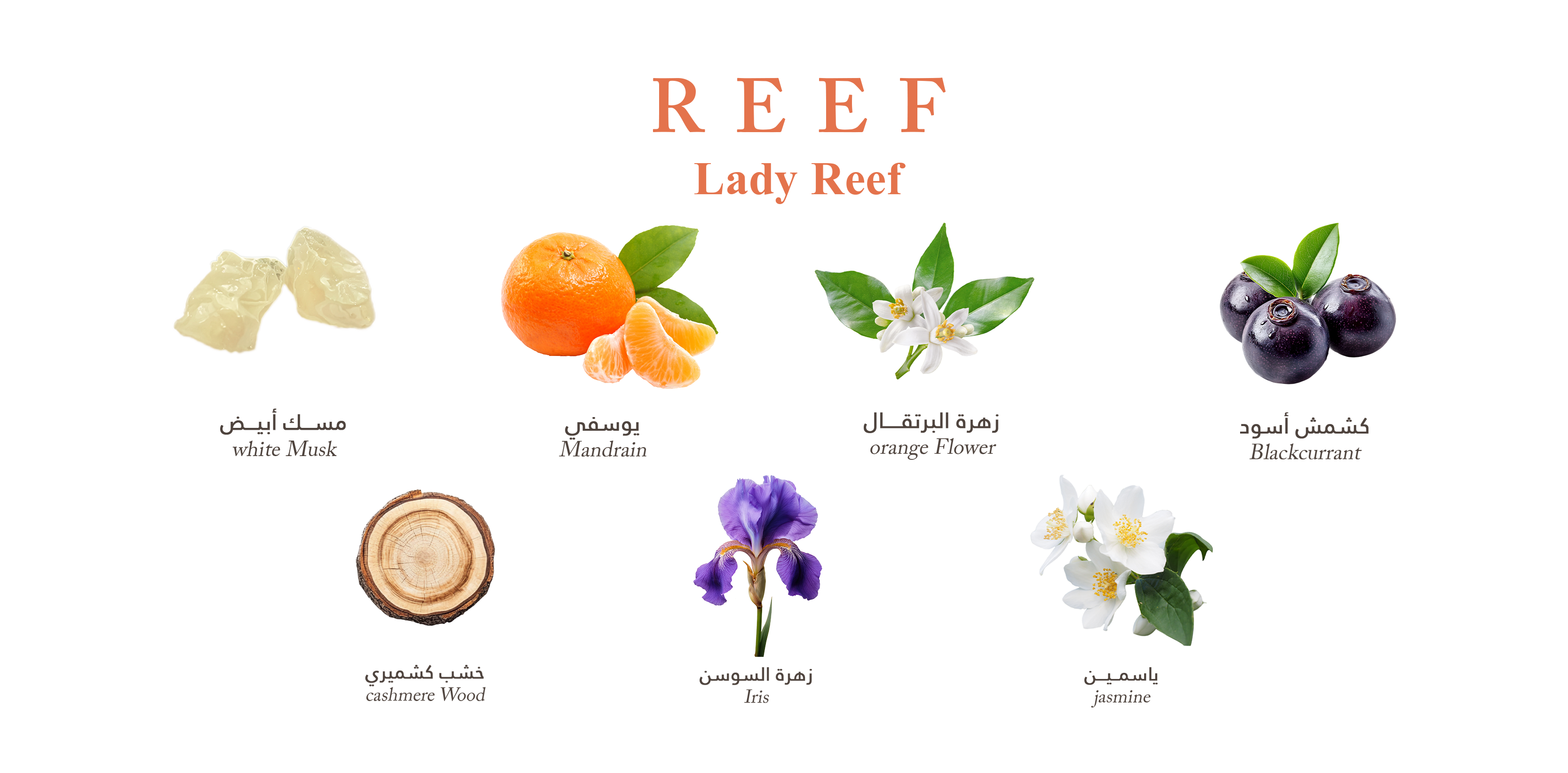 Lady Reef EDP 150ml Reef Perfumes