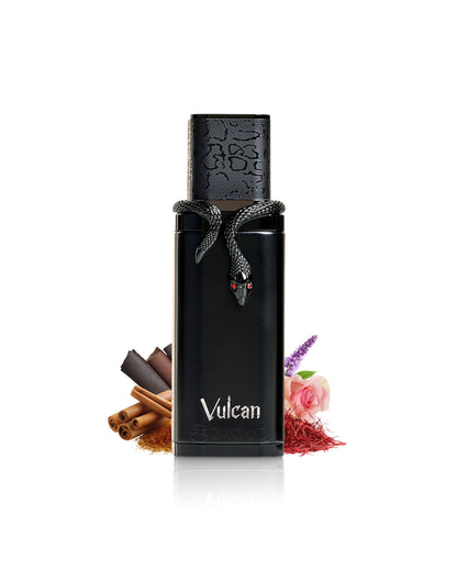 VULCAN BLACK FRIDAY EDITION  EDP 100ml French Avenue