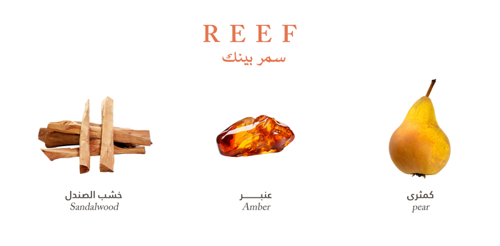 Reef Summer Pink EDP 100ml Reef Perfumes