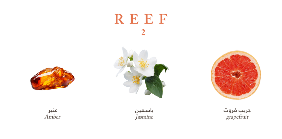 Reef Perfumes Reef 2 100ml EDP
