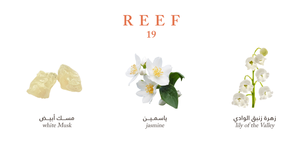 REEF 19 EDP 100ml Reef Perfumes