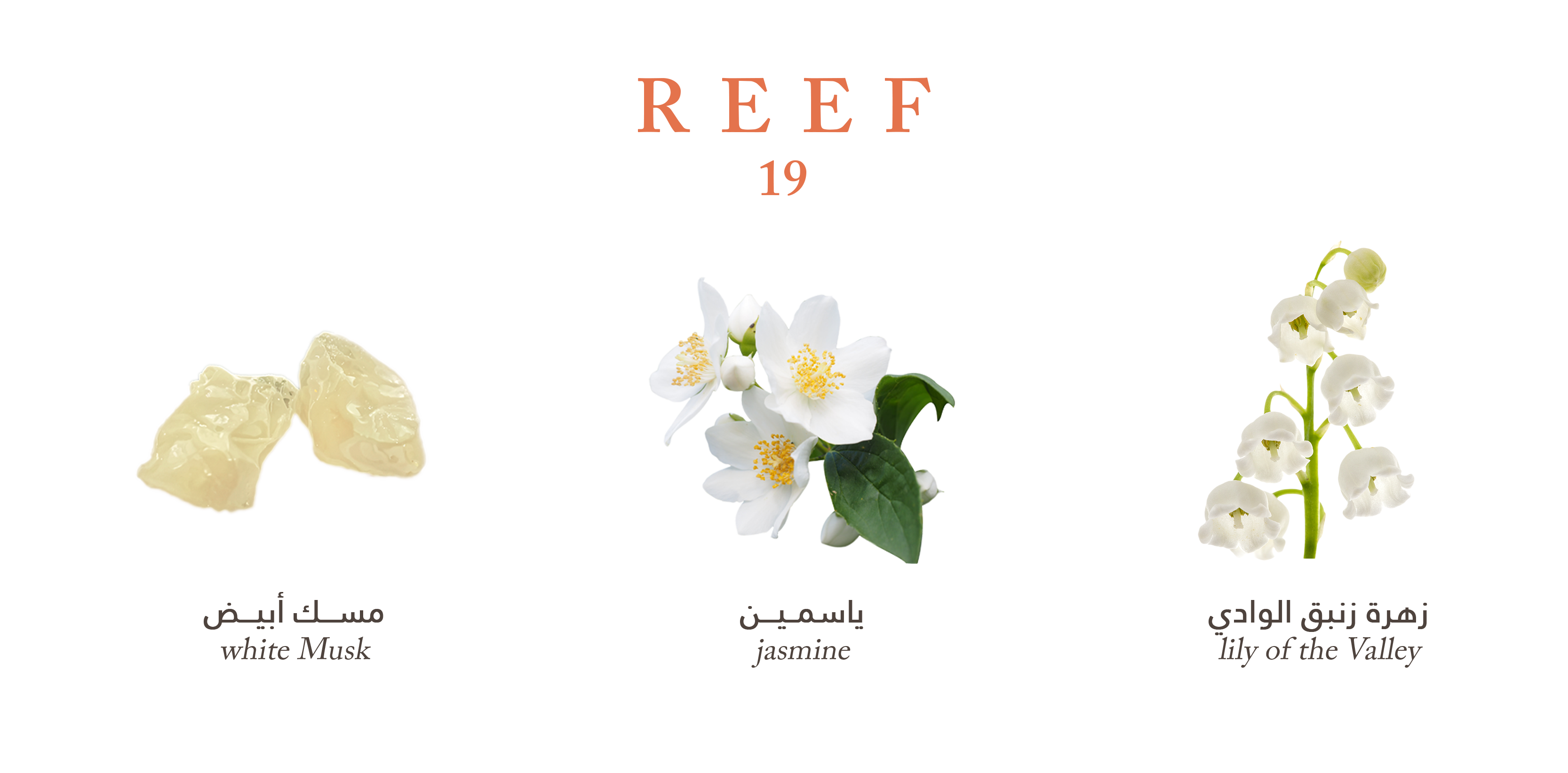 REEF 19 EDP 100ml Reef Perfumes